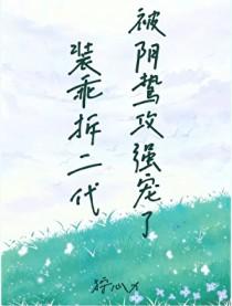 装乖 番外