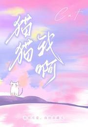 猫猫我啊讲的什么
