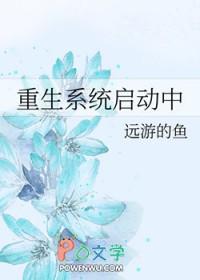 系统重开