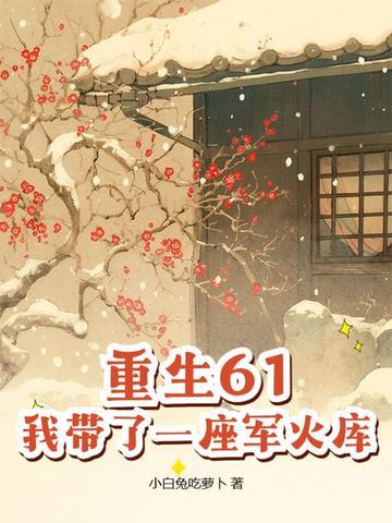重生61我带了一座军火库大结局