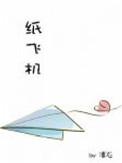 纸飞机下装