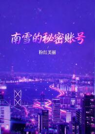 南雪的秘密账号(1v3)类似