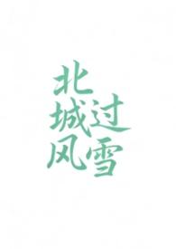 北城有雪的