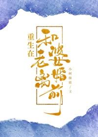 重生到离婚之前