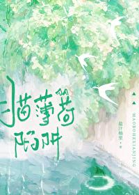 猫薄荷啥意思