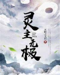 灵主武功等级