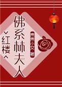 红楼佛系林夫人书包