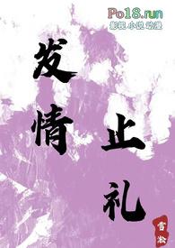 发情止礼免费阅读全文