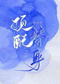 顶配替身by临安教司百度