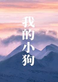 我的小狗(人外h)全文