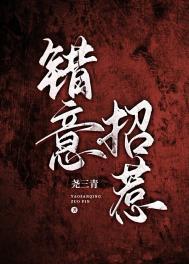 错意招惹 讲的什么