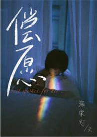 偿愿海棠灯免费观看