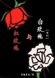 红玫瑰与白玫瑰表达了什么