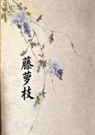 藤萝为枝专栏