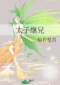 太子妃继承录全文阅读