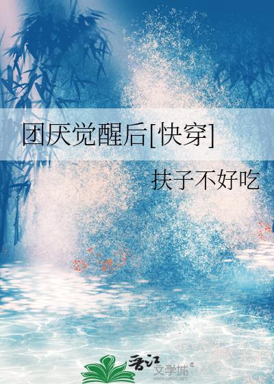 团厌网