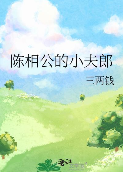陈相公的小夫郎三两