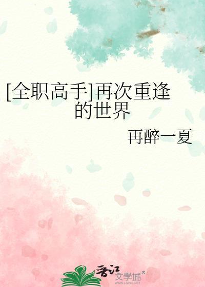全职高手之再次攻略