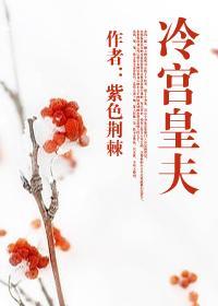 冷宫皇夫有没有第二部