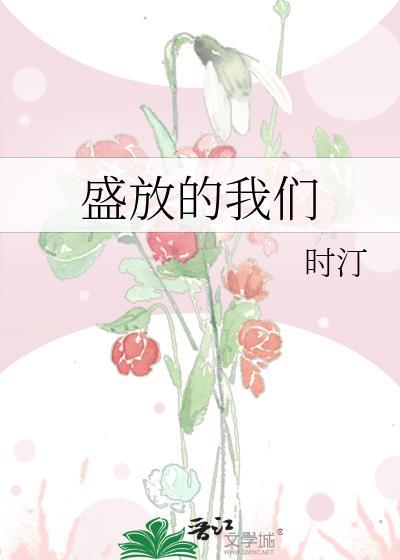 盛放是什么电视剧