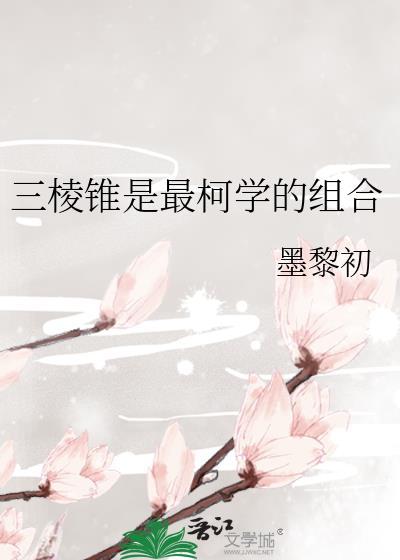 三棱锥是最柯学的组合晋江