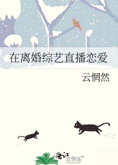 综艺 离婚