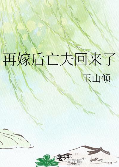 再嫁夫君是前夫