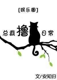 总裁猫图片