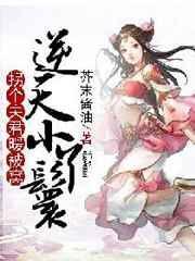 逆天小丫鬟拐个夫君暖被窝